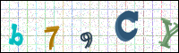 Image Verification