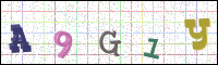Image Verification