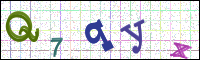 Image Verification
