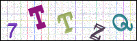 Image Verification