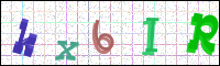 Image Verification